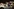 Fans jubeln der Band "No Angels" zu