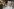 Die Menschen betrachten drei riesige Roboter-Gesichtsinstallationen in einem Einkaufszentrum