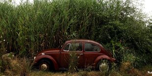 Auto steht in der Natur