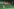 Eine Golferin bei der Annäherung vor dem Green. Im Hintergrund beobachten sie Teamkameradinnen und Konkurrentinnen