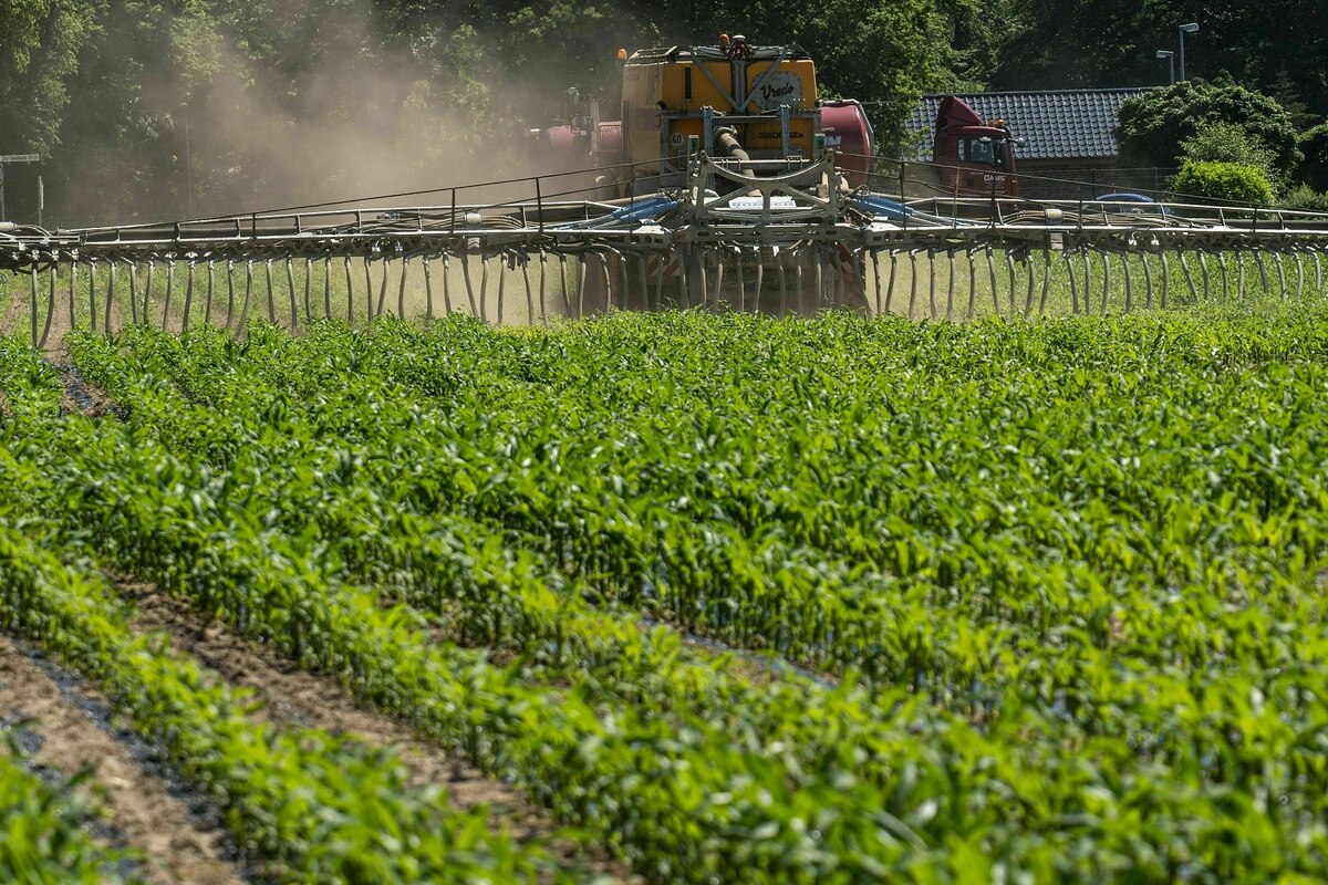 Stickstoff bedroht Trinkwasser: Umweltschützer und Wasserwerke wollen schärfere Düngeregeln