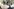 Pfadfinder mit typischem Hemd und Halstuch
