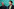 Das Foto zeigt die Grünen-Politiker Werner Graf und Felix Banaszak.