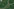 Satellitenbild von Nepal nach der Flut.