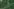 Satellitenbild von Nepal nach der Flut.