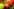 Nahaufnahme von drei Tomaten – eine ist grün und unreif, drei haben bereits eine rote Farbe.