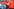 Juliane Kleemann (SPD), Landesvorsitzende der SPD Sachsen-Anhalt, spricht bei der Wahlparty der SPD, sie steht auf einem Podium vor einer roten Wand mit SPD-Logo