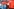 Juliane Kleemann (SPD), Landesvorsitzende der SPD Sachsen-Anhalt, spricht bei der Wahlparty der SPD, sie steht auf einem Podium vor einer roten Wand mit SPD-Logo