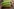 Screenshot aus einem Socialmedia-Video