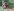 Cellist spielt im Wald