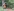Cellist spielt im Wald