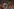 Jürgen Klopp gestikuliert am Spielfeldrand