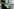 Ein Mast mit Überwachungskameras und Polizeibeamtem im Vordergrund.