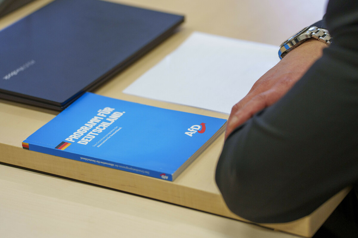 Erfolge der AfD: Revolte der Hoffnungslosigkeit