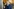 Magdalena Andersson geht mit ernster Miene aus der Tür. Sie trägt einen blauen Blazer und hat halblange blonde Haare