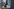 Eine Deutschlandfahne liegt zerknittert in einem Papierkorb