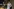 Nona Kurdovanidze (links) und Tamar Oniani sitzen in einer Interviewsituation