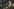 Szene aus dem Videospiel THE INNER WORLD
