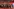 Gruppenbild von Spielern und Fans im Stadion