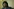 Portrait von Navanethem "Navi" Pillay