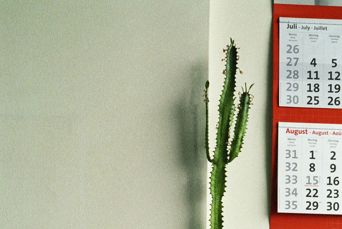 Wie wir mit Enttäuschungen umgehen: Das Schweigen im Meeting