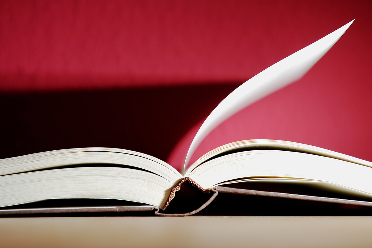 Response to Maxim Biller: Those who cannot read must remain silent