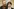 Elif Eralp und Tobias Schulze