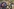 Siedler im Westjordanland behindern Journalisten bei ihrer Arbeit