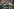 Eine Demonstration von Angehörigen, die grüne Kleidung tragen und Schilder sowie Fotos von vermissten Personen hochhalten