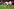 Spieler von RB Leipzig.
