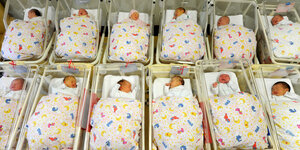 12 Neugeborene auf der Säuglingsstation