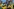 Viele Menschen stehen in gelben T-Shirts auf einem Platz – einer der Anhänger der PL hält ein Bild seines Vaters, des ehemaligen Präsidenten Jair Bolsonaro, in der Hand.