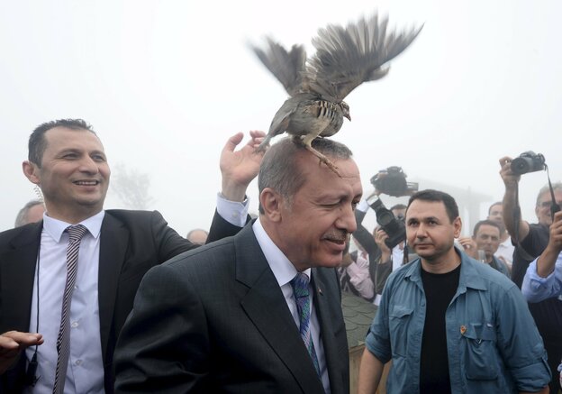 Auf Reccep Tayyip Erdoğans Kopf sitzt eine Ente