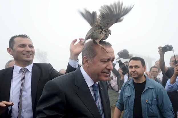 Auf Recep Tayyip Erdoğans Kopf sitzt eine Ente