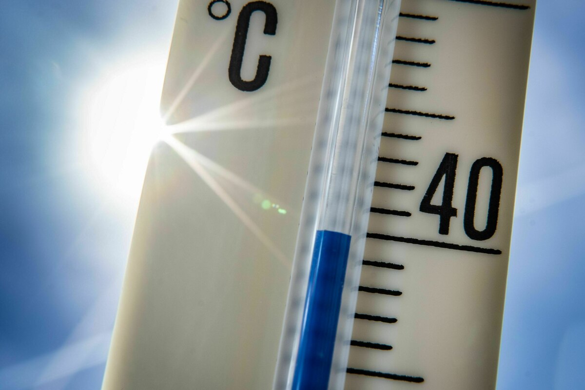 Öl, Kohle, Gas und ihre Folgen: An der Hitze in Europa starben im Sommer 50.000 Menschen