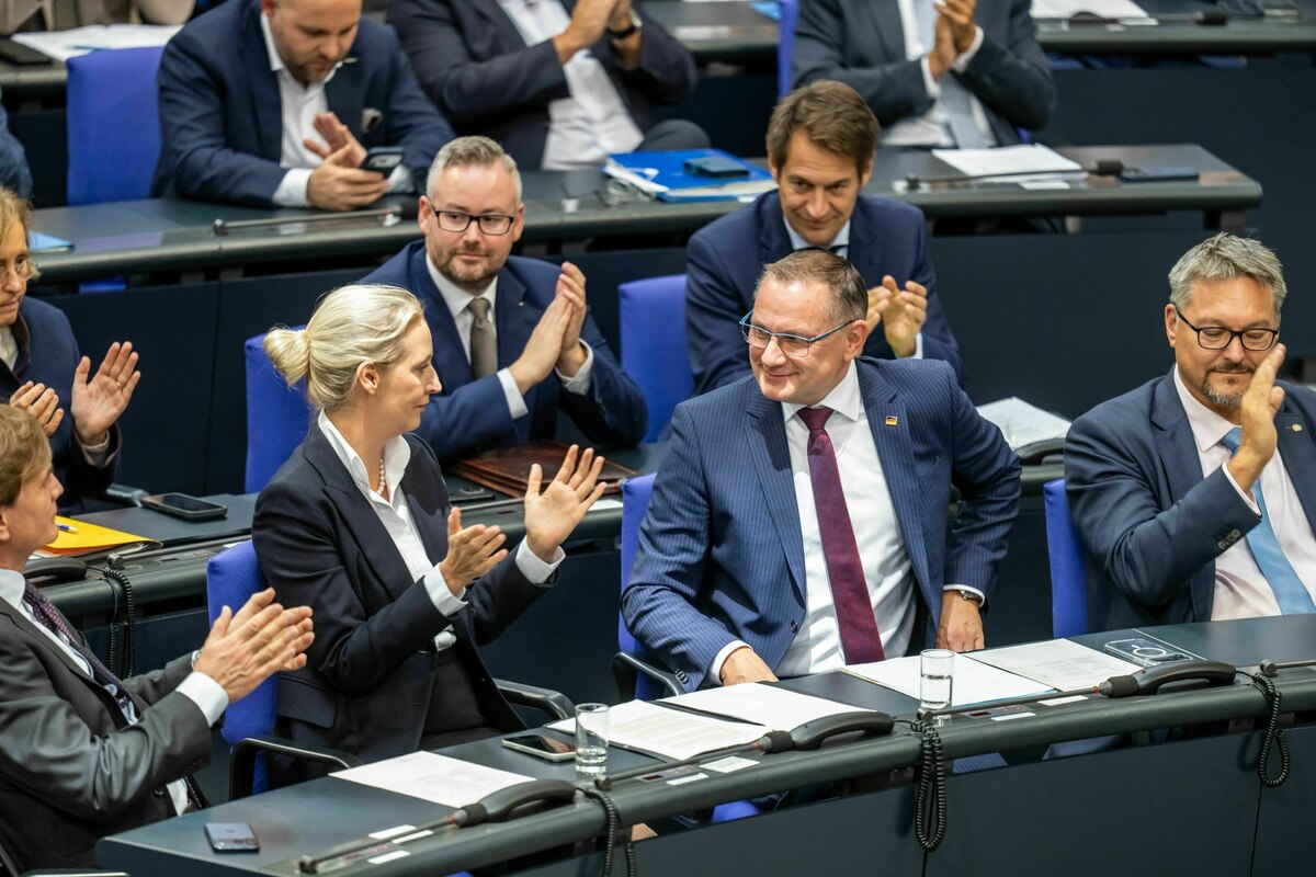 AfD-Leaks: Es reicht für ein AfD-Verbotsverfahren | taz.de