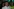Der Präsidentschaftskandidat der Opposition, Senator Flavio Bolsonaro, trifft nach der Stichwahl um das Präsidentenamt zu seiner Wahlnachtveranstaltung ein.