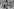 Zu sehen ist eine Grafik, die den Titel der Filmreihe „Galerie Straße - Streetart revisited” zeigt, sowie den Zeitraum vom 31.10. bis 26.11.2026 in der, die Veranstaltungsreihe stattfindet.