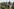 Eritreische Soldaten in Tarnuniformen und grünen Baretten marschieren mit Gewehren und aufgepflanzten Bajonetten in einer Reihe