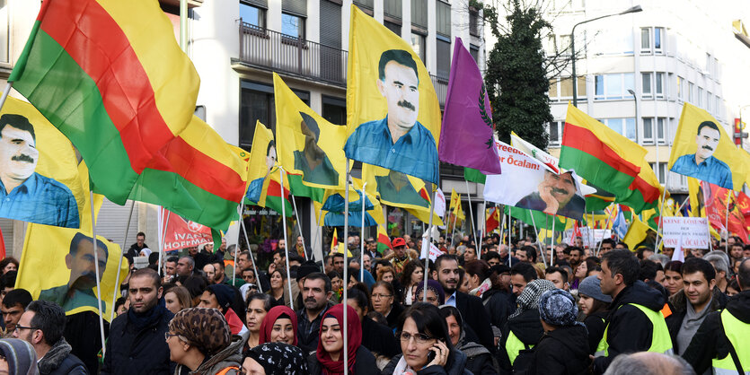 DemonstrantInnen mit vielen Fahnen.