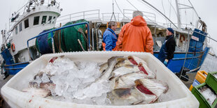 Eine Kiste voll gekühlter Dorsche steht vor einem Fischkutter.