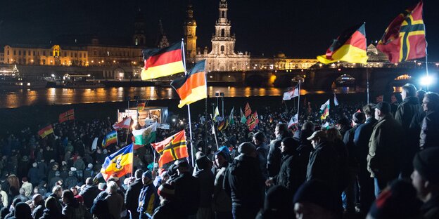 Eine Grppe von Menschen mit Deutschlandfahnen, im Hintergund Dresden im Abendlicht