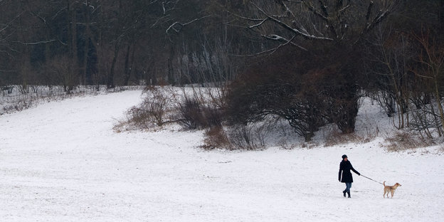 Frau mit Hund in der verschneiten Hasenheide
