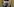 Verschleierte Frau hält Bild eines Mannes mit Bart und Turban