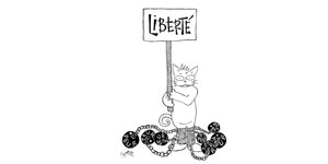 Ein Kater hält ein Schild auf dem "Liberté" steht.