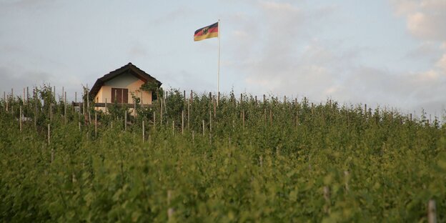 Ein Häuschen mit Deutschlandfahne in einem Weinberg