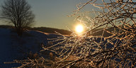 Blick durch verschneite Zweige auf Sonnenuntergang