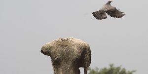 eine Statue ohne Kopf und eine fliegende Taube