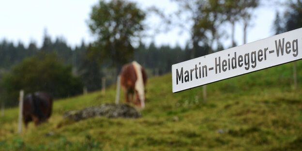 Ein Schild „Martin-Heidegger-Weg" ragt auf eine Kuhweide