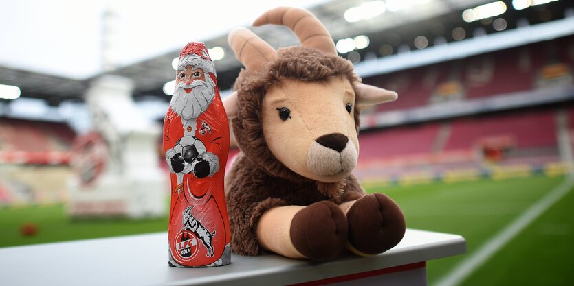 Ein Stoffmaskottchen des 1. FC Köln